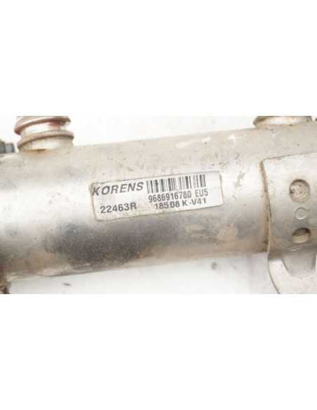 Zawór EGR chłodnica spalin Citroen Peugeot 2.0 HDI