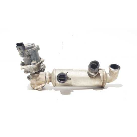 Zawór EGR Citroen Peugeot 1.4 HDI 9673258680