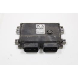 Komputer sterownik ECU 33920-62J3 Opel Astra