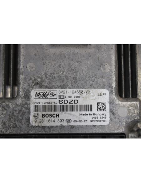 Komputer sterownik ECU Ford
