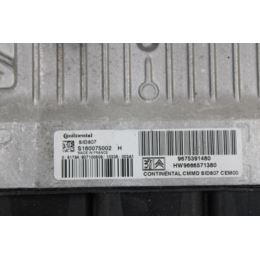 Komputer sterownik ECU S180075002H Peugeot 308 2