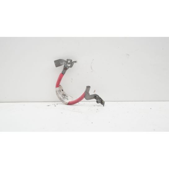 Klema plusowa Renault MEGANE III 243860002R
