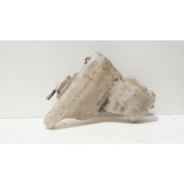 Zbiornik płynu spryskiwaczy Mercedes W124 2