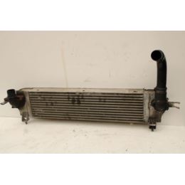 Chłodnica powietrza intercooler Nissan QASHQI 2.0