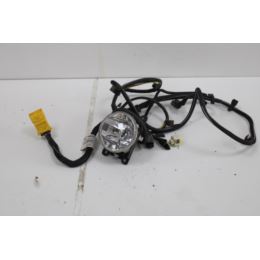 Halogen Citroen C3 PICASSO