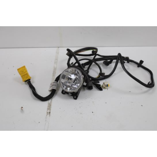 Halogen Citroen C3 PICASSO