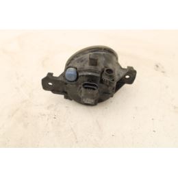 Halogen prawy Nissan Opel Renault 2