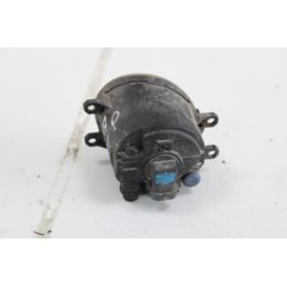 Halogen prawy Toyota Citroen Peugeot 2