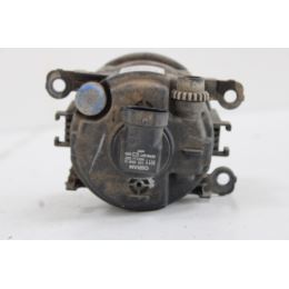 Halogen Renault 2
