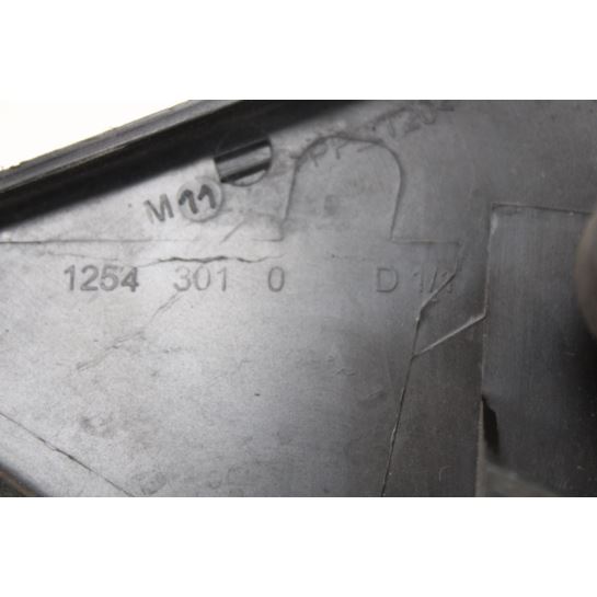 Lusterko elektryczne prawe Renault 12543010 P