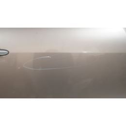 Drzwi tylne prawe Renault SCENIC III GRAND XZGK 2