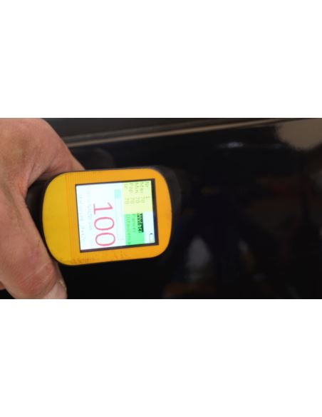 Drzwi przednie lewe kompletne Renault CLIO IV 4